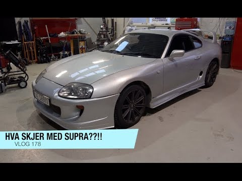 HVA SKJER MED SUPRA??!! | VLOG 178